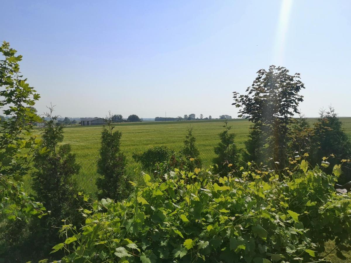 Pensjonat Slepowron Międzywodzie Exterior foto